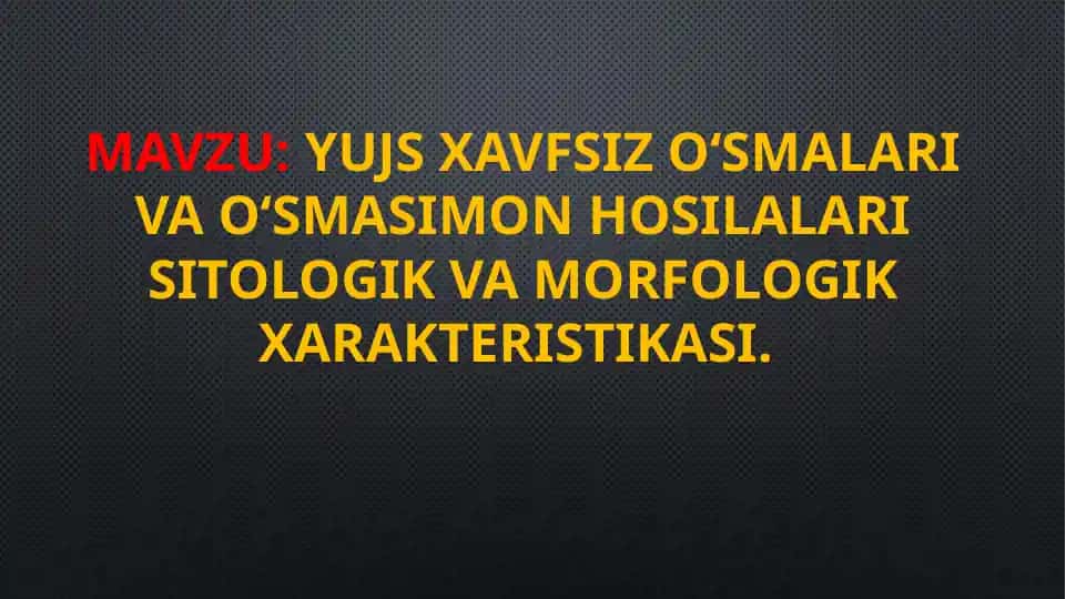 YuJS xavfsiz o‘smalari
