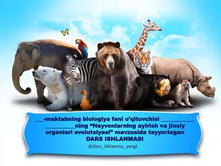 Hayvonlarning ayirish va jinsiy organlari evolutsiyasi