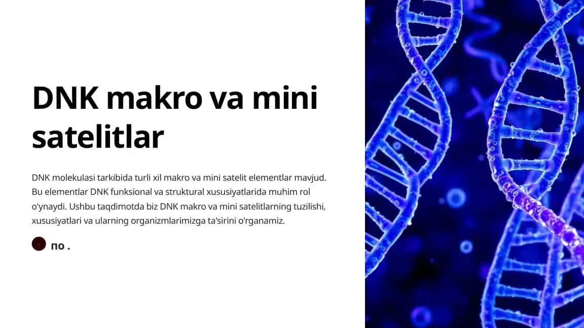 DNK makro va mini satelitlar
