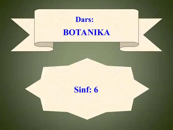 BOTANIKA