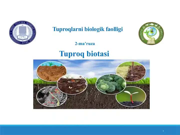 Tuproqlarni biologik faolligi