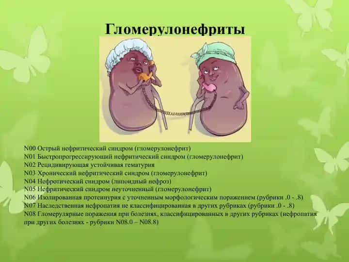 Гломерулонефриты