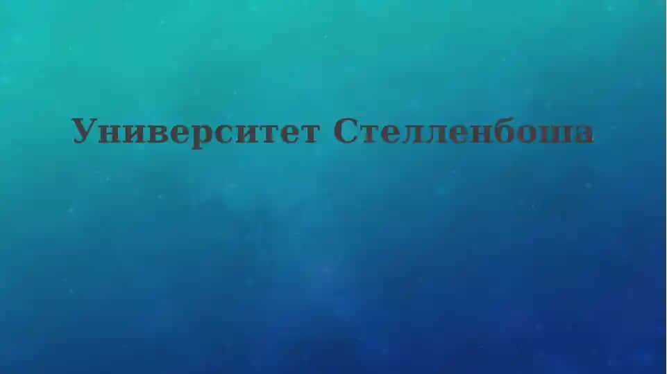 Университет Стелленбоша