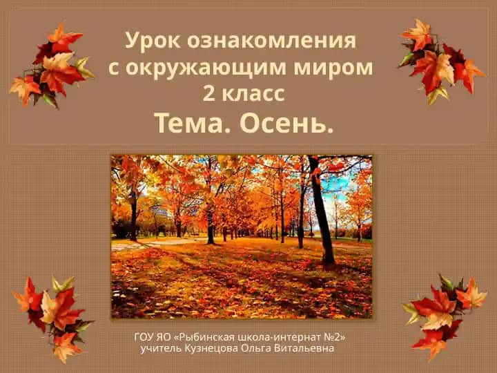 Урок ознакомления с окружающим миром