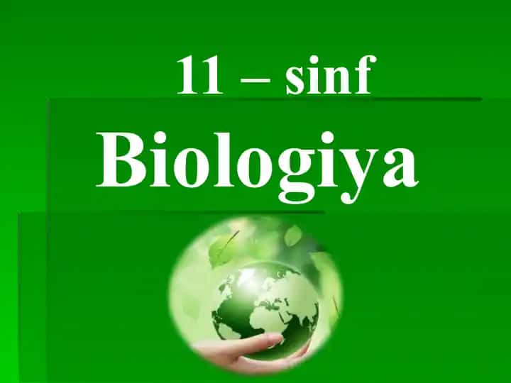 O‘simliklar filogenezi. O‘simliklarning vegetativ organlari filogenezi