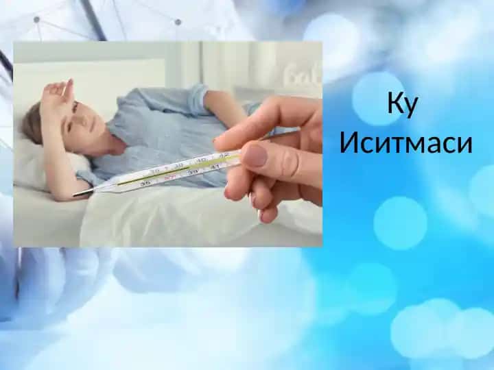 Ку иситмаси