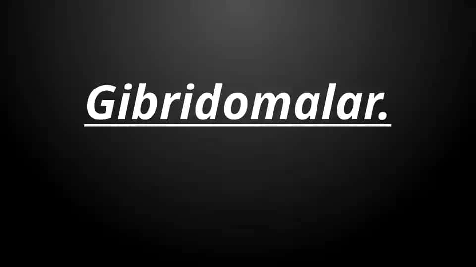 Gibridomalar