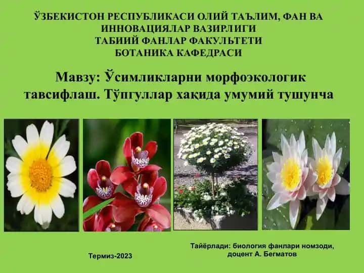 Ўсимликларни морфоэкологик тавсифлаш