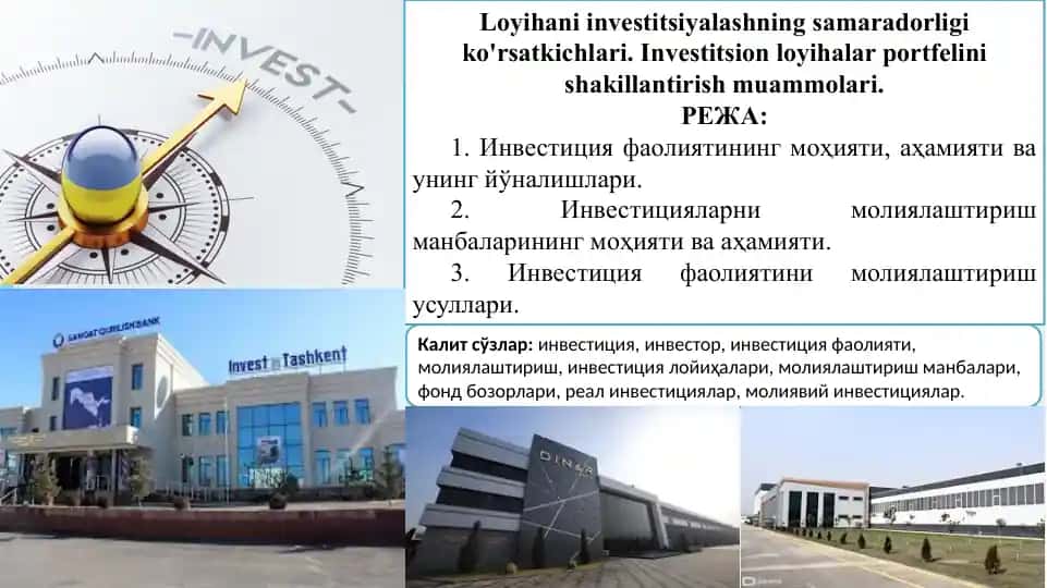 Loyihani investitsiyalashning samaradorligi ko'rsatkichlari