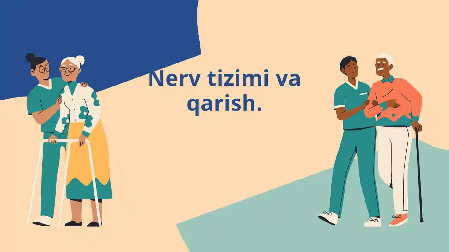 Nerv tizimi va qarish