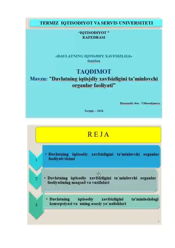 Davlatning iqtisodiy xavfsizlik organlari faoliyati tizimi