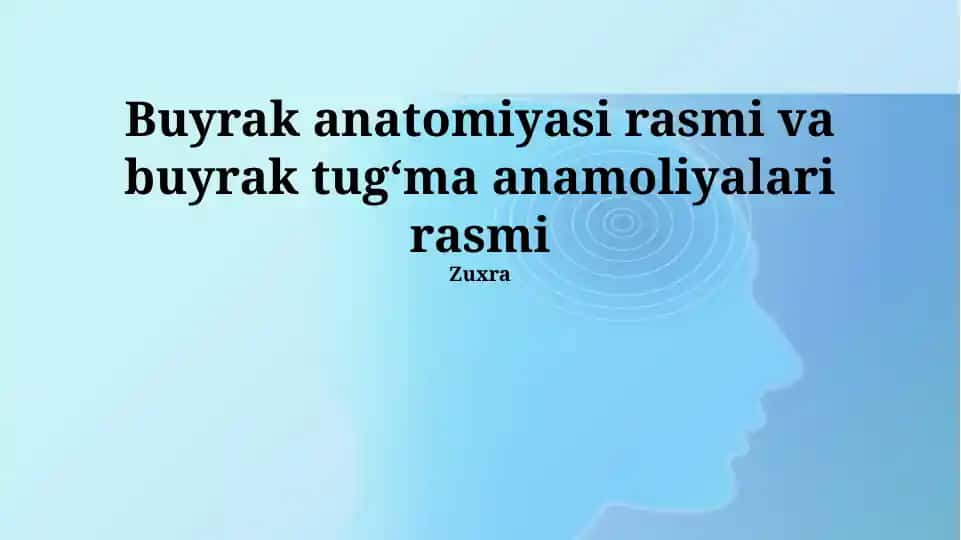 Buyrak anatomiyasi rasmi va buyrak tugʻma anamoliyalari rasmi