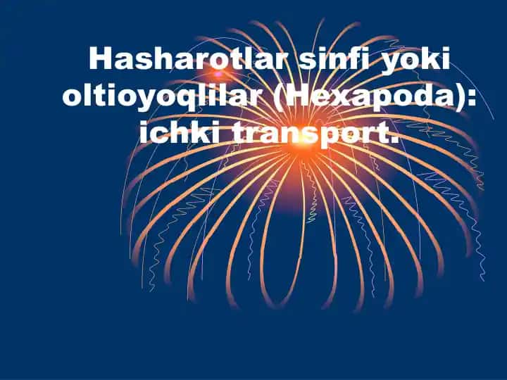 Hexapoda (Hasharotlar sinfi yoki oltioyoqlilar)