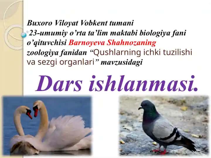 Dars ishlanmasi "Qushlarning ichki tuzilishi va sezgi organlari"