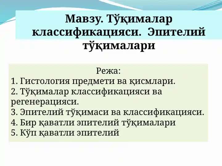 Эпителий тўқималари