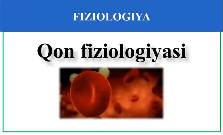 Qonfiziologiyasi