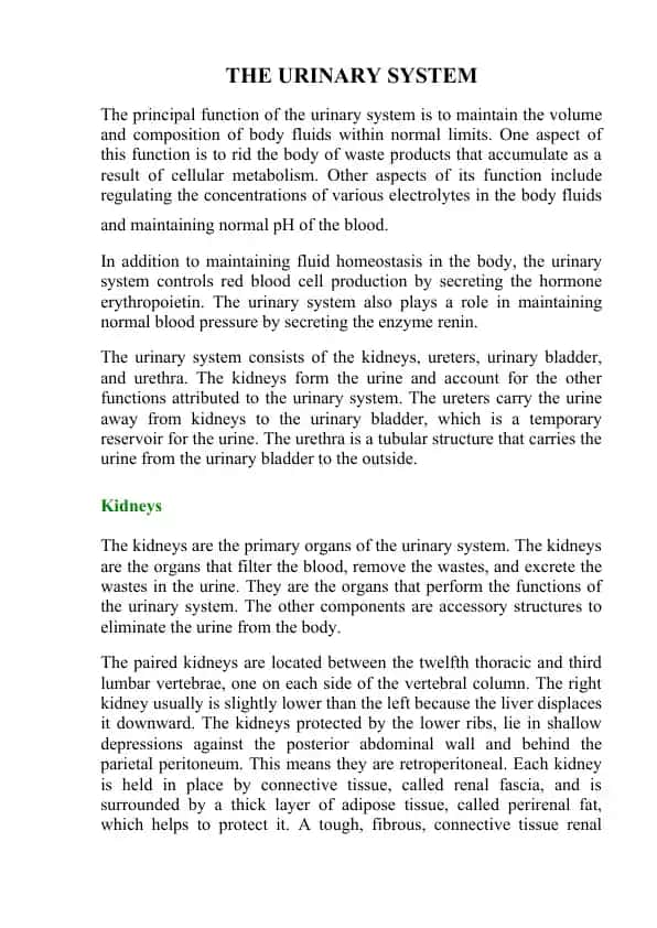 The Urinary System