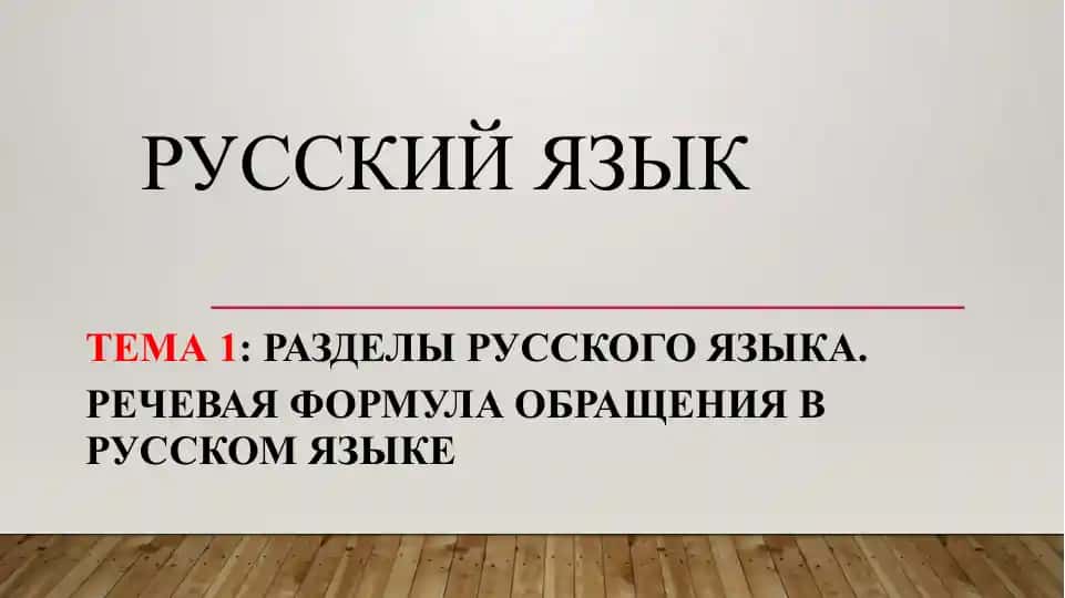 РУССКИЙ ЯЗЫК