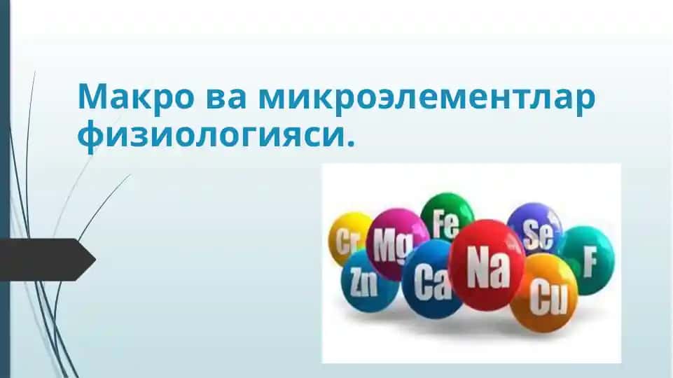 Макровамикроэлементлар физиологияси