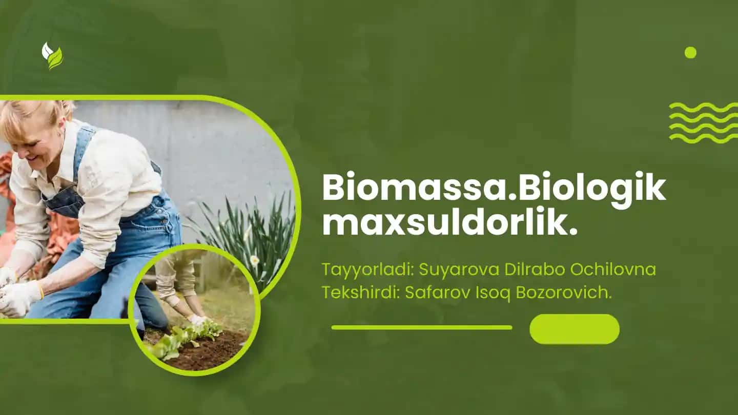 Biomassa. Biologik mahsuldorlik