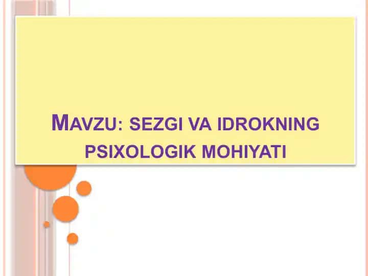 Sezgilar haqida tushuncha