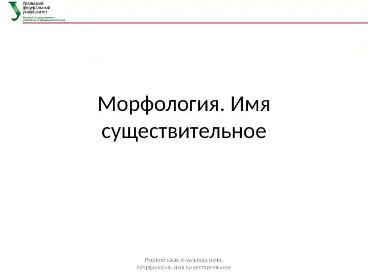Морфология. Имя существительное