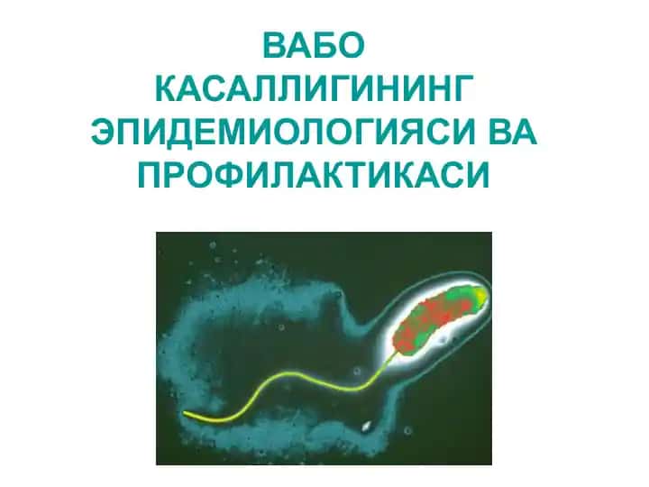 Вабокасаллигининг эпидемиологияси ва профилактикаси