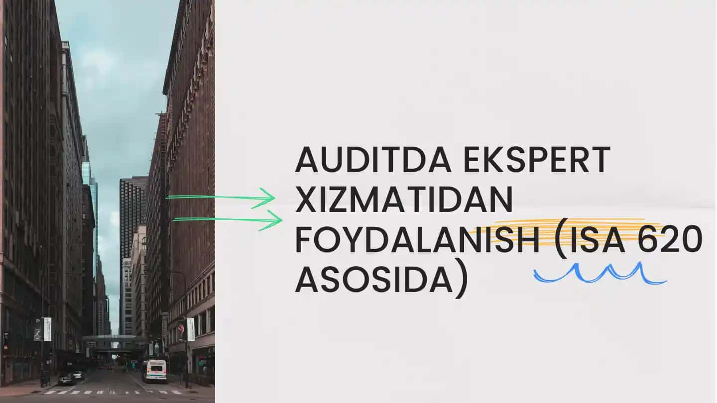 Auditda Ekspert Xizmati