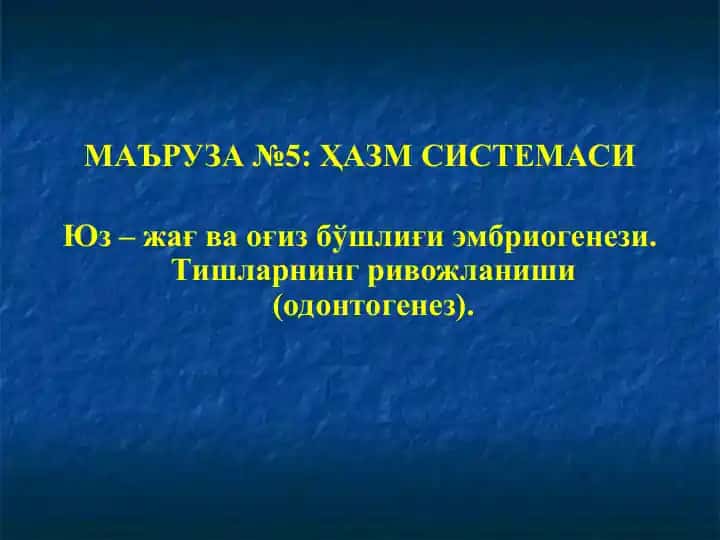 ҲАЗМ СИСТЕМАСИ