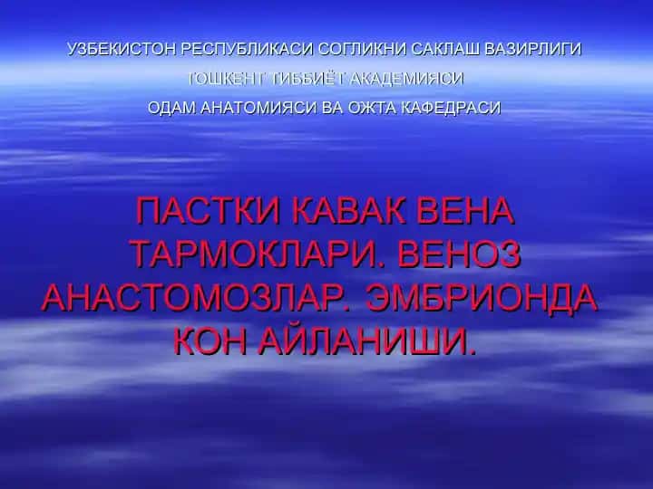 Pashtki kavak venalar va venoz anastomozlar. Venoz anastomozlar. Embriyonda kon aylanishi.