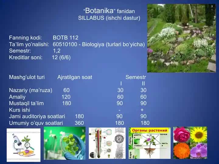 O’simlik hujayrasi va plastidlar