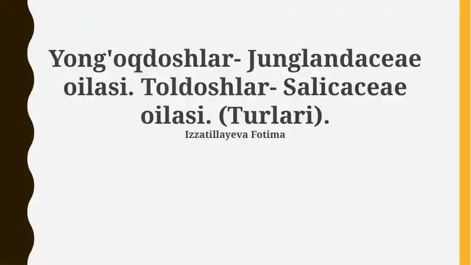 Yong'oqdoshlar