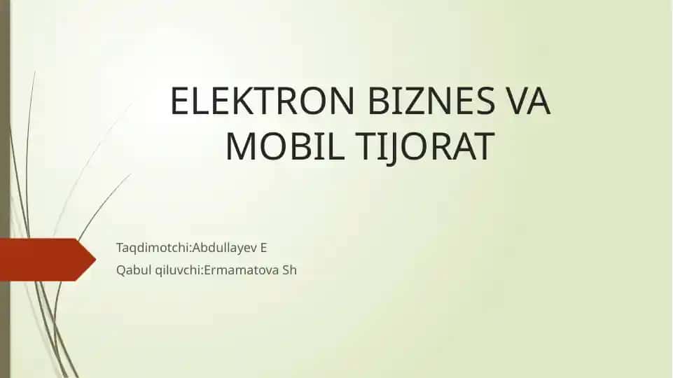 Elektron Biznes va Mobil Tijorat