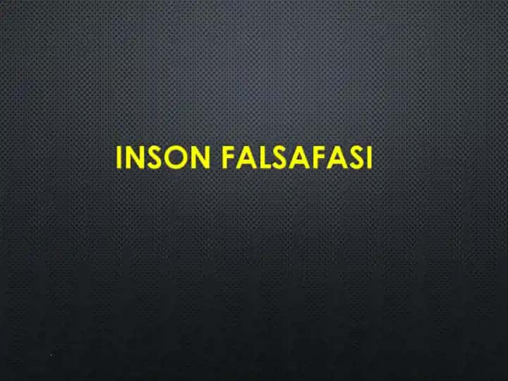 INSON FALSAFASI