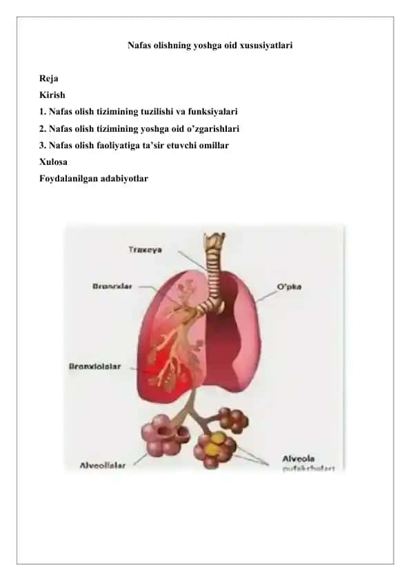 Nafas olishning yoshga oid xususiyatlari