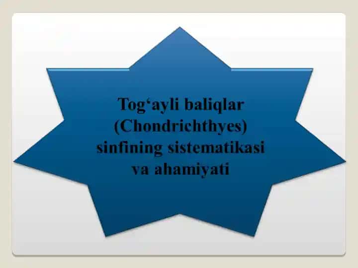 Tog‘ayli baliqlar sinfi