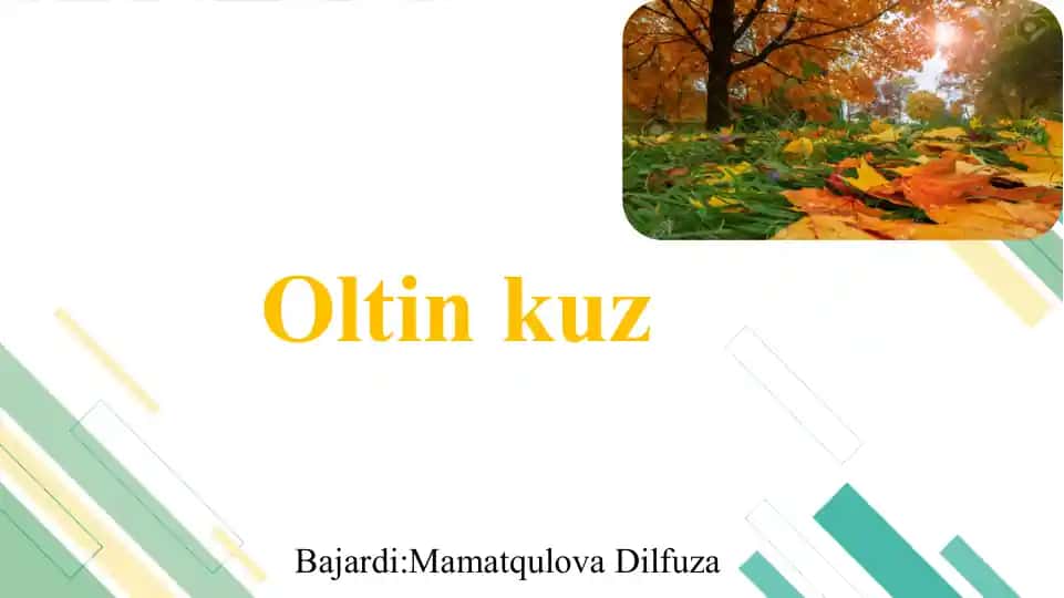 Oltin kuz