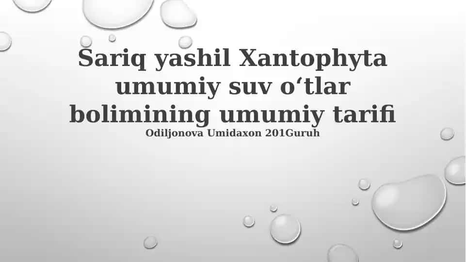 Sariq yashil Xantophyta umumiy suv oʻtlar bolimining umumiy tarifi