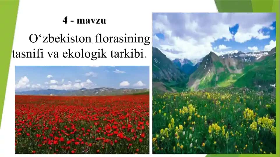 O‘zbekiston florasining tasnifi va ekologik tarkibi
