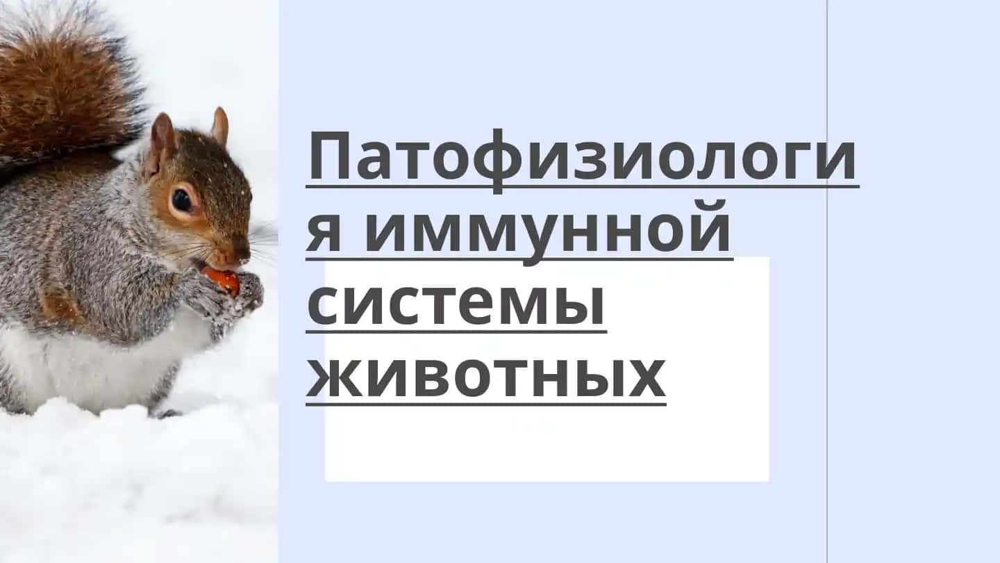 Патофизиология иммунной системы животных