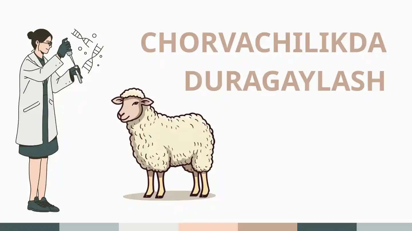 Chorvachilikda duragaylash
