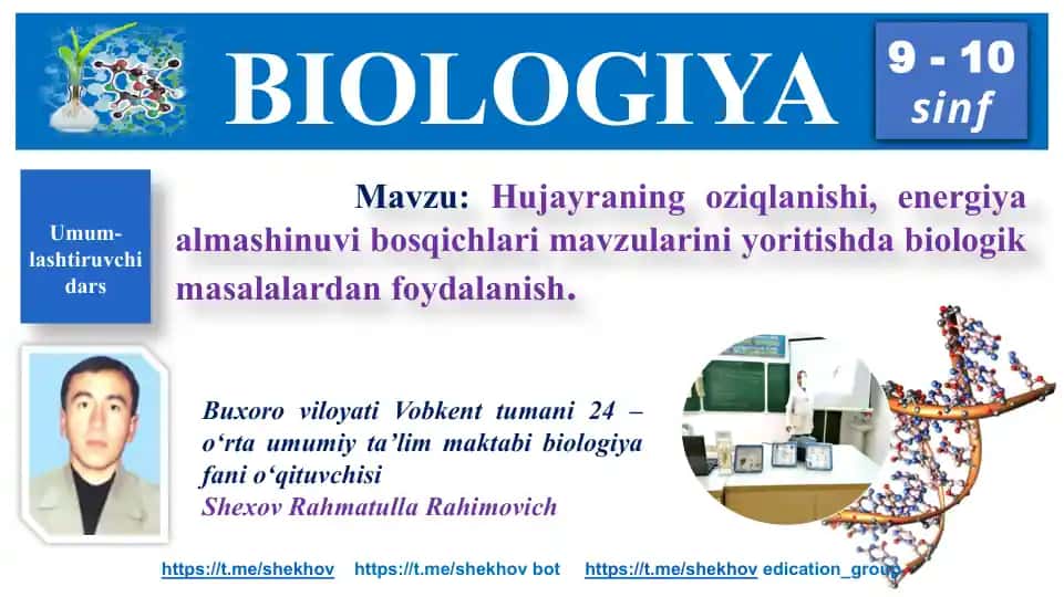 Hujayraning oziqlanishi va energiya almashinuvi bosqichlari