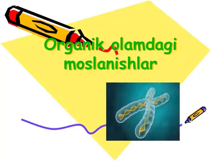 Organikolamdagimoslanishlar