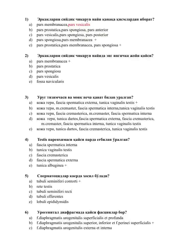 Erkaklarni siydik chikaruv nayida anatomiya