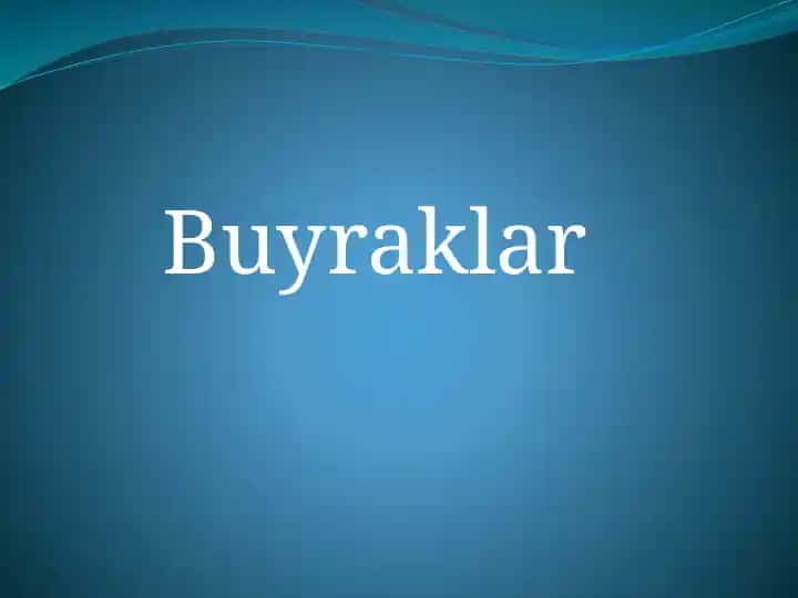 Buyraklar
