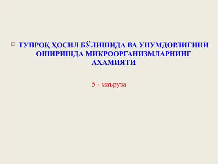 Тупроқ Ҳосил Бўлишида ва унумдорлигини Оширишда Микроорганизмларнинг Аҳамият