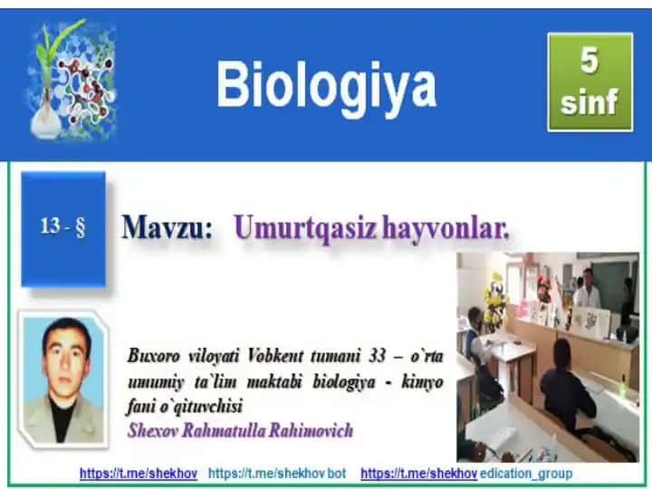 Hayvonlar haqida ma'lumotlar