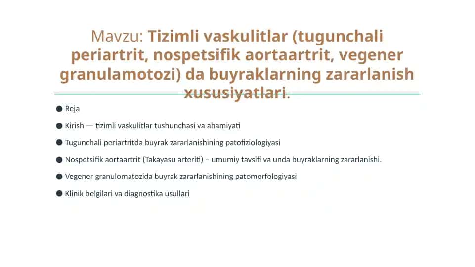 Tizimli vaskulitlar (tugunchali periartrit, nospetsifik aortaartrit, vegener granulamotozi) buyraklarning zararlanish xususiyatlari