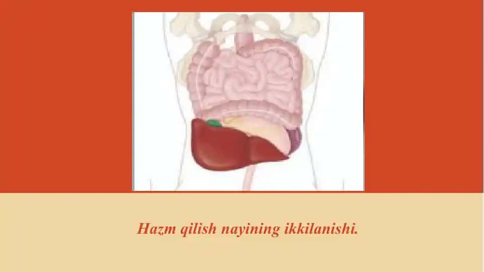 Hazm qilish nayining ikkilanishi