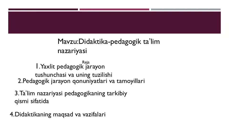 Didaktika-pedagogik ta'lim nazariyasi
